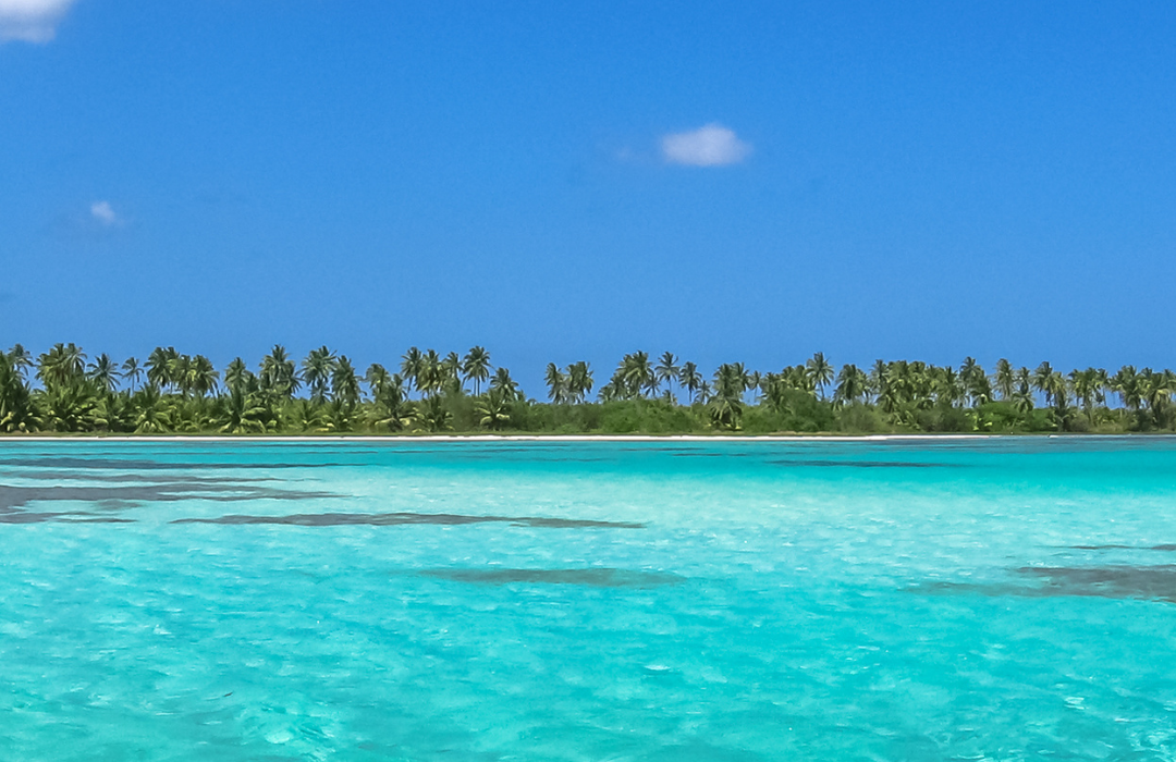 VEGAS LIGHTS & CARIBBEAN DELIGHTS - Image 5