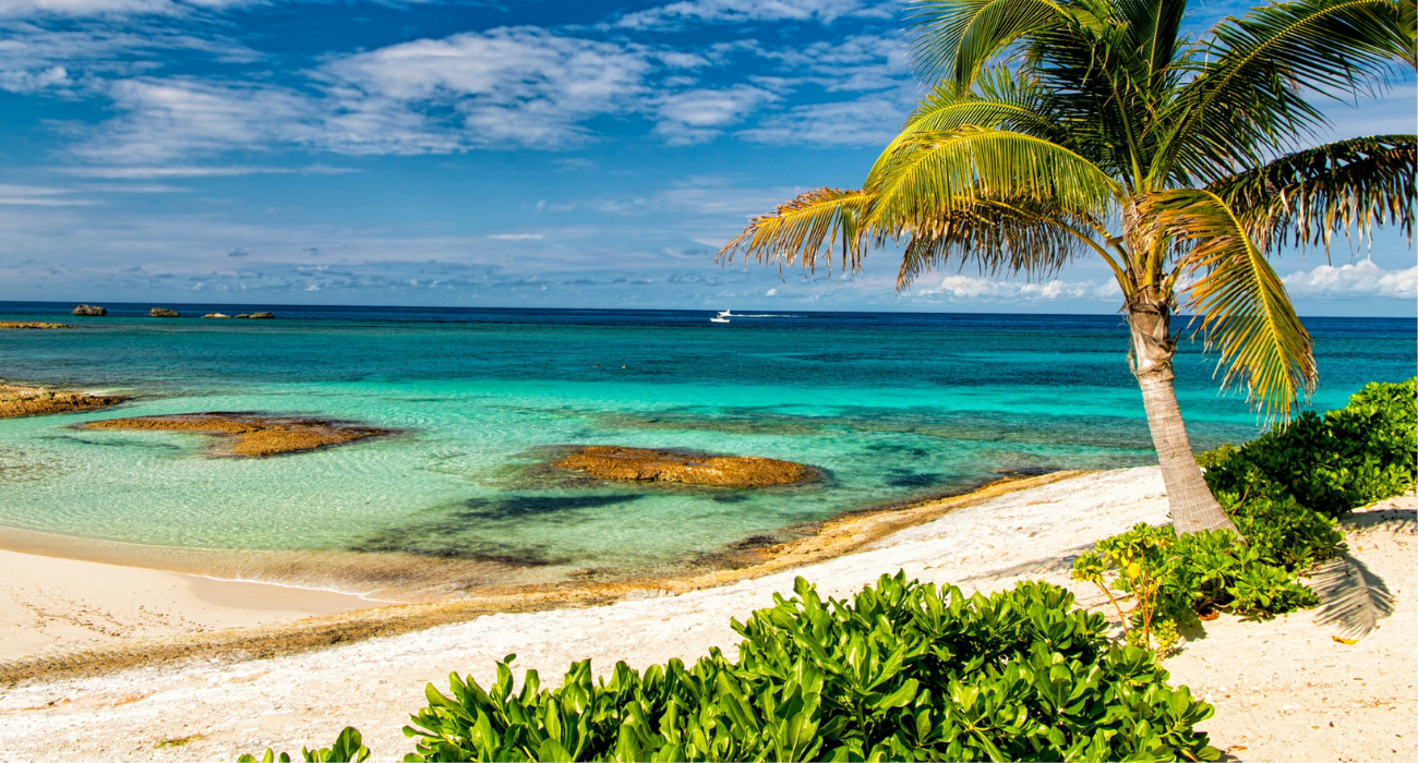 NYC & NCL BLISS BAHAMAS CRUISE COMBO - Image 6