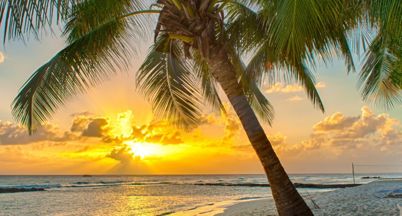 NInja Special Offer Caribbean Dreaming in BARBADOS - Image 1