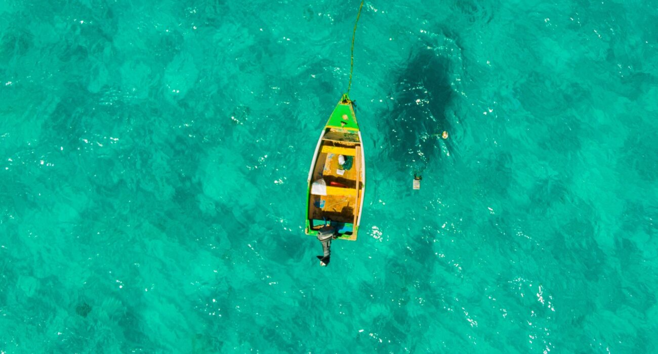 NInja Special Offer Caribbean Dreaming in BARBADOS - Image 2