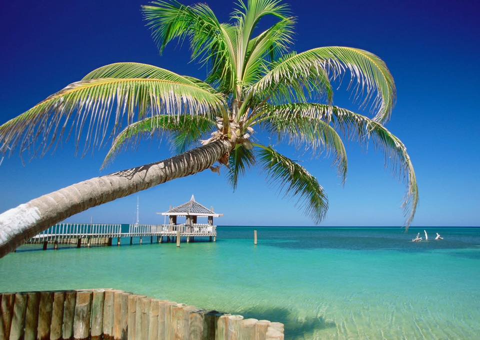 CARIBBEAN CRUISE & 4 nights in New Orleans - Image 3