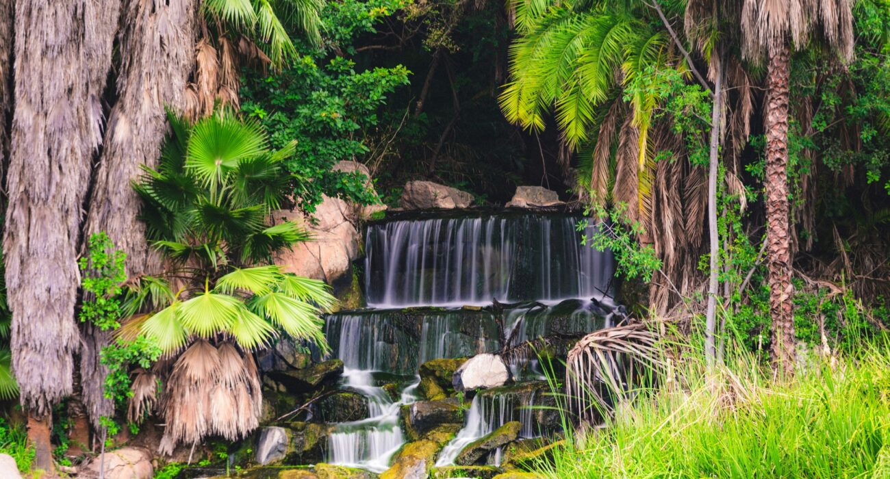 SOUTH AFRICA – JOHANNESBUG & SUN CITY RESORT - Image 3