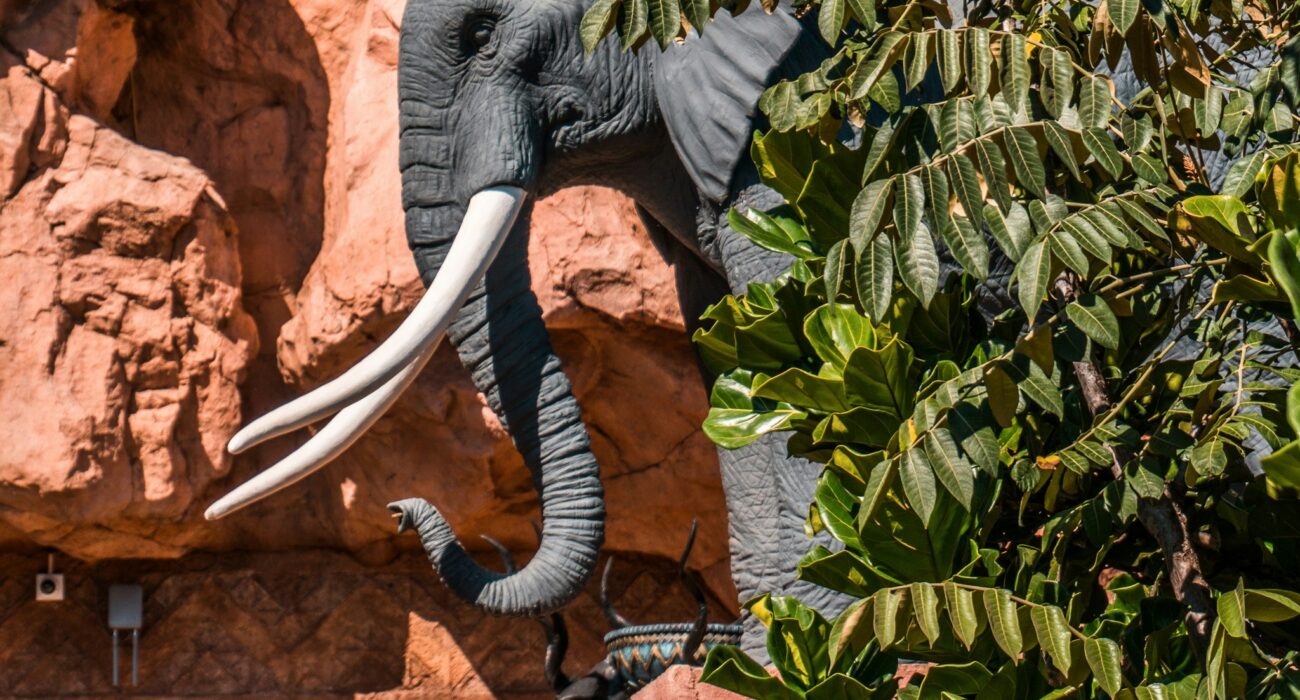 SOUTH AFRICA – JOHANNESBUG & SUN CITY RESORT - Image 6