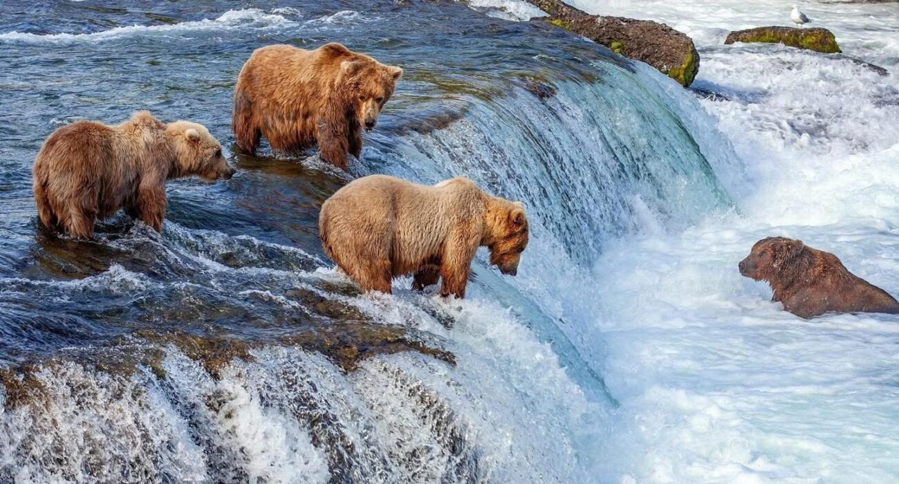 Canada AND Alaska TWO WEEK Bucket List Journey - Image 5