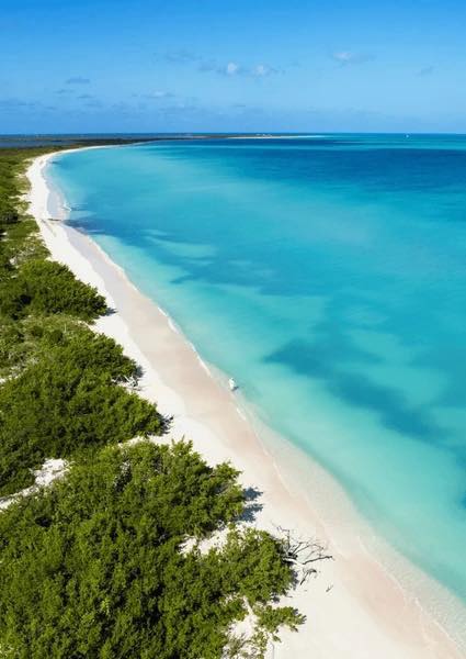 Miami and Caribbean Luxury Cruise NInja Offer - Image 5