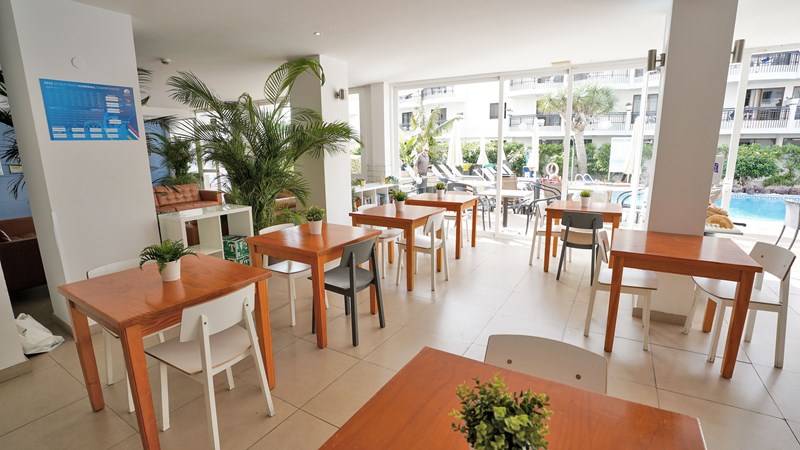 TENERIFE SPRING 2027 LONG STAY EARLY BOOKER - Image 2