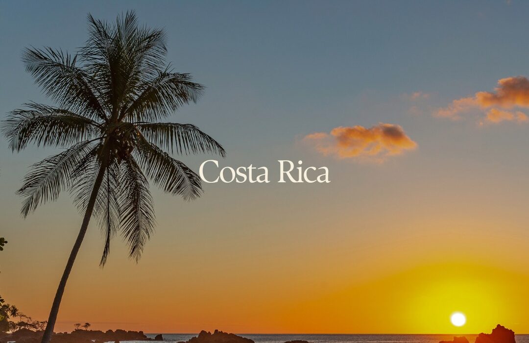 TOUR SPECIAL – Natural Splendours of Costa Rica - Image 3