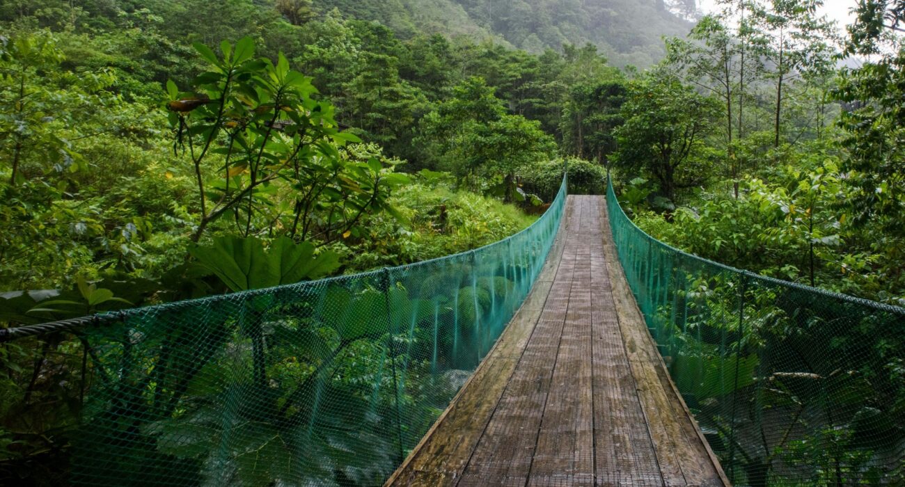 TOUR SPECIAL – Natural Splendours of Costa Rica - Image 2