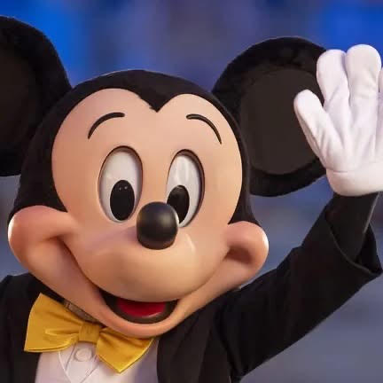 Late Year New York and Orlando TWO WEEK Break - Image 2