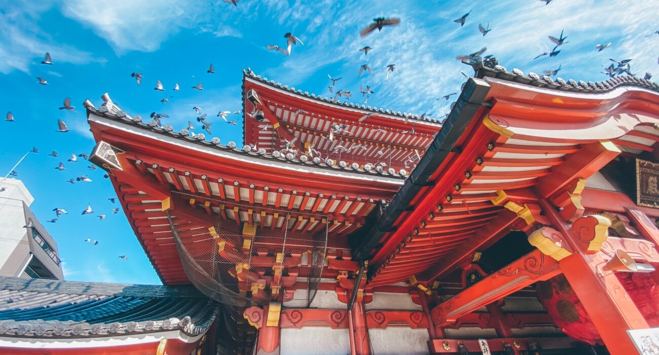 Summer BUCKET LIST NInja Special to Japan - Image 2