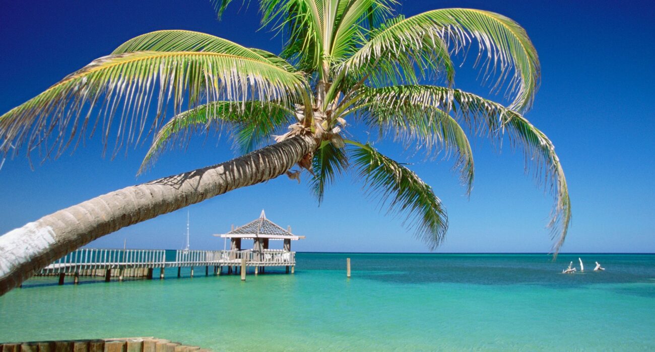 New Orleans and Caribbean STAY AND CRUISE Special - Image 3