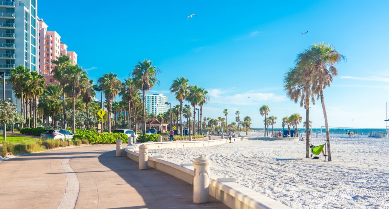 Late Year Florida USA Triple Centre NInja Getaway - Image 1