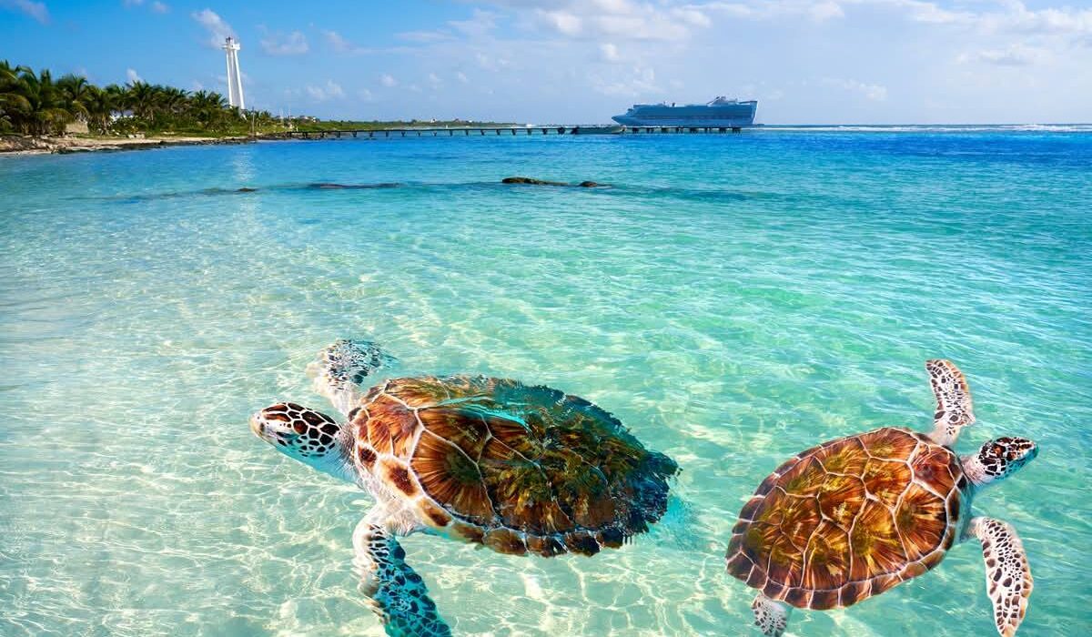 Tampa PLUS Mexico Royal Caribbean Cruise - Image 1