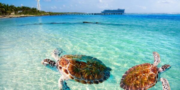 Tampa PLUS Mexico Royal Caribbean Cruise