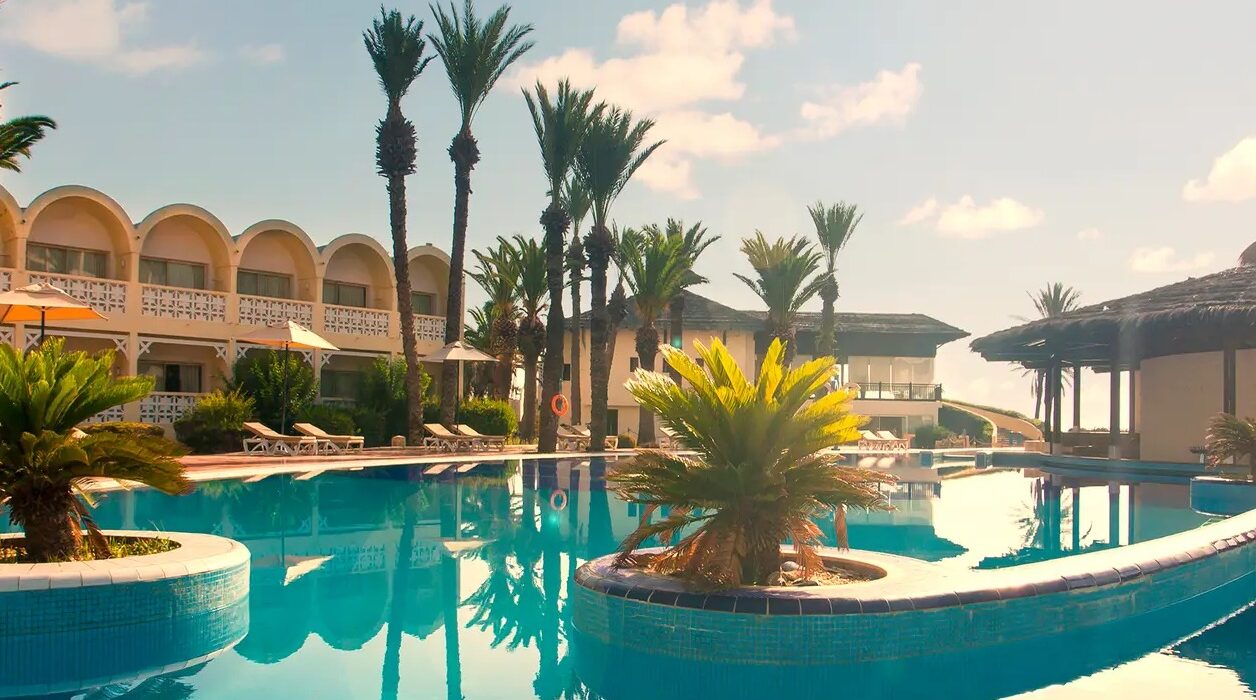 Tunisia Late Year Sunshine – TWO Weeks for ONE - Image 1