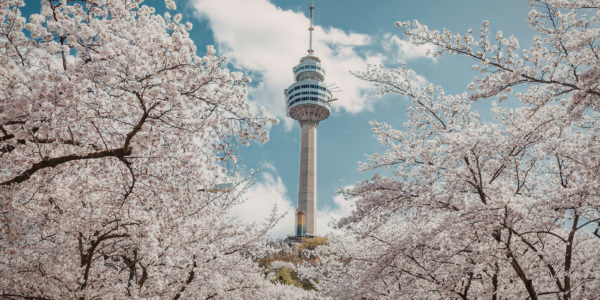 SEOUL, JAPAN & CHERRY BLOSSOM CRUISE