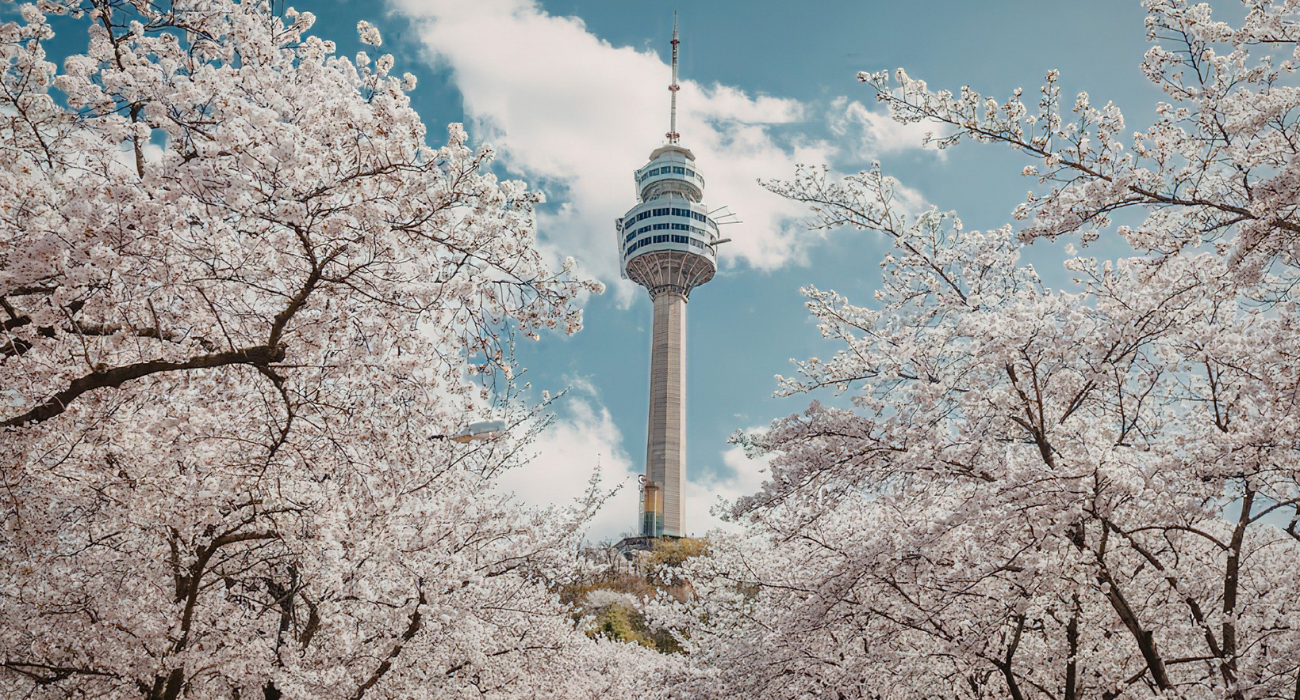 SEOUL, JAPAN & CHERRY BLOSSOM CRUISE - Image 1