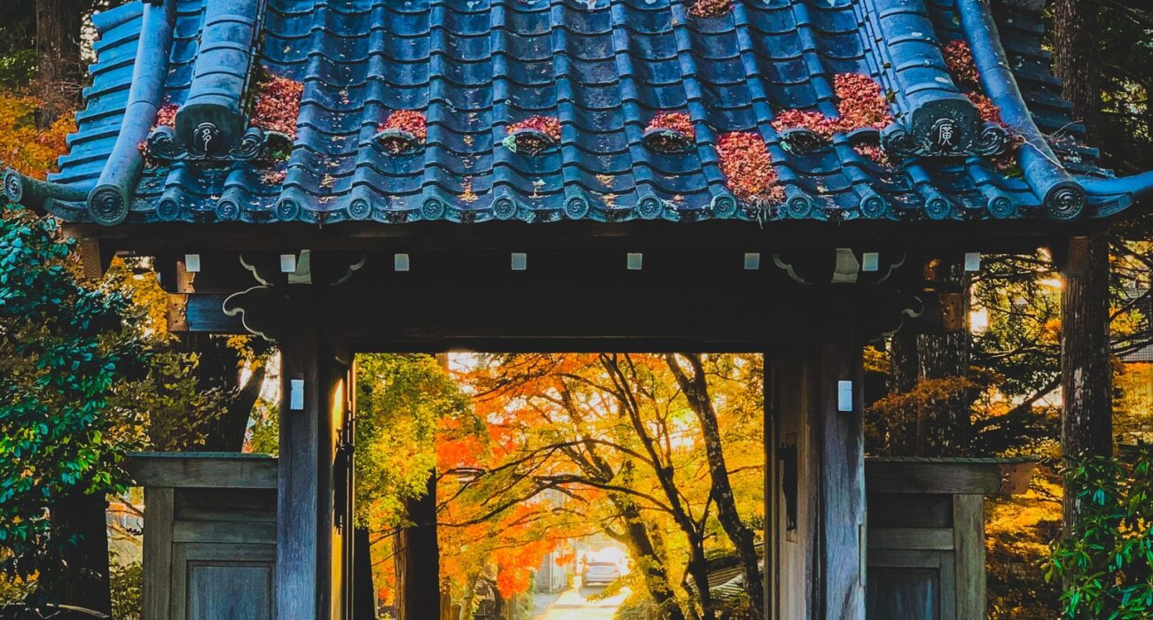 JAPAN MULTICENTRE BUCKET LIST BREAK - Image 7