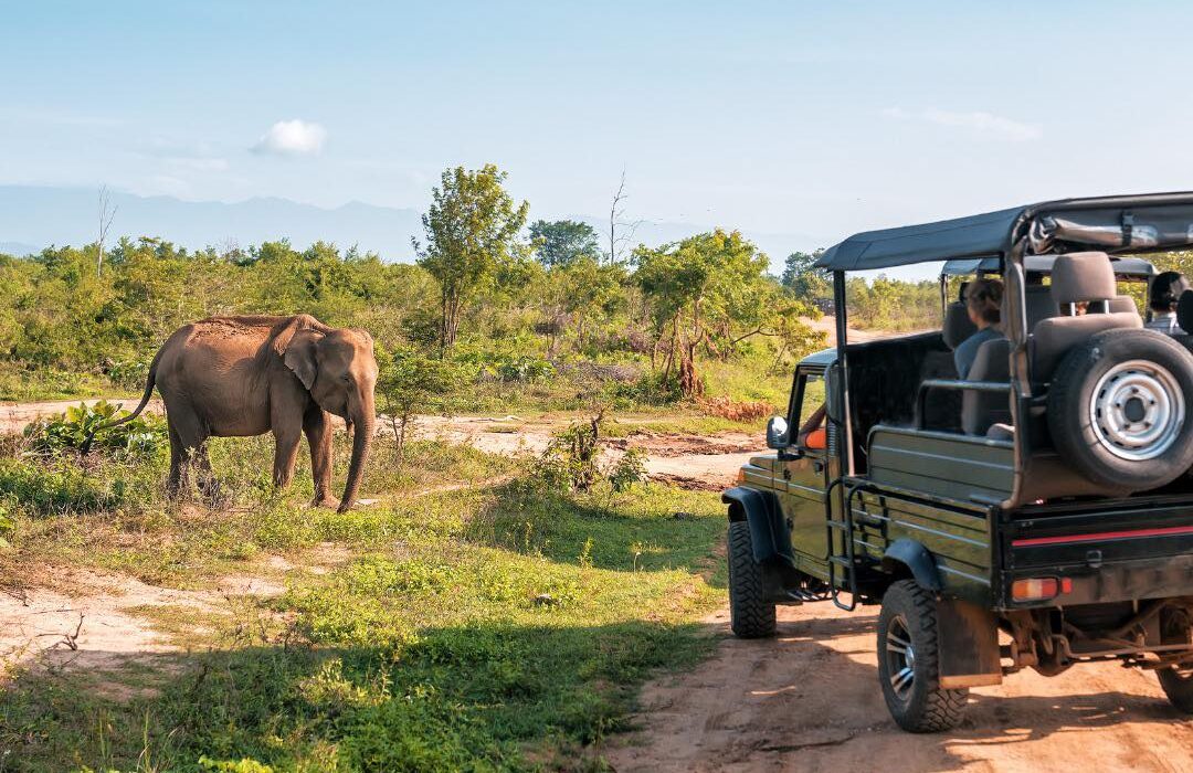 SOUTH AFRICA  – Cape Town & Safari - Image 1