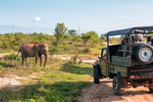 SOUTH AFRICA  - Cape Town & Safari