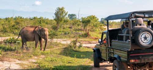 SOUTH AFRICA  – Cape Town & Safari