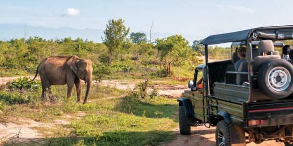 SOUTH AFRICA  – Cape Town & Safari