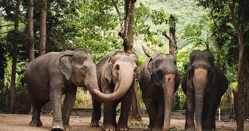 Plan Ahead 2027 – Stunning Thailand Just In - Image 6