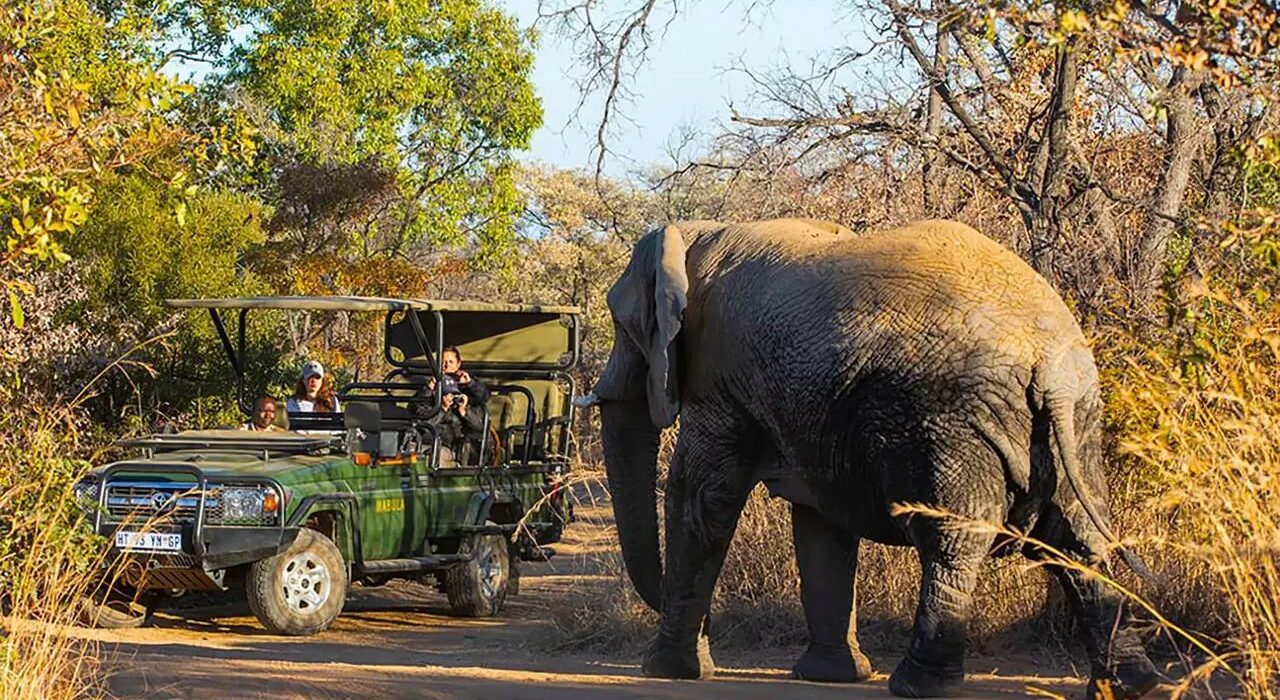 On Safari in South Africa – Mabula Game Lodge - Image 1