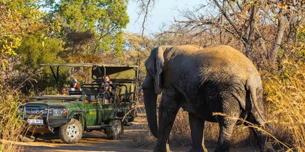 On Safari in South Africa – Mabula Game Lodge
