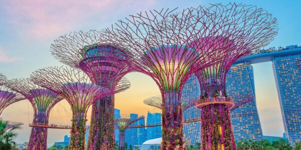 Set Sail on a Fairytale Adventure Like No Other