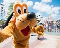 Winter Short Break to Disney with Park Passes