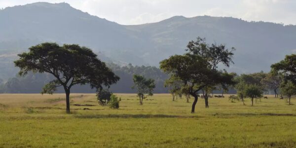 BUCKET LIST South Africa Escorted Tour Offer