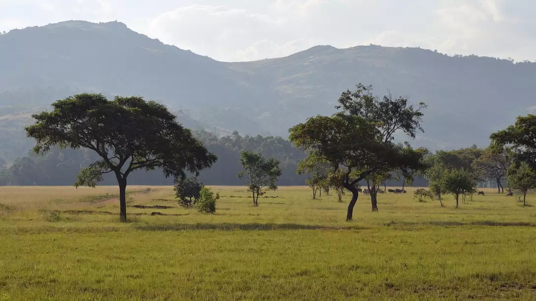 BUCKET LIST South Africa Escorted Tour Offer - Image 1