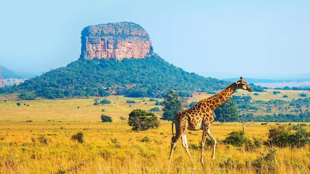 BUCKET LIST South Africa Escorted Tour Offer - Image 2
