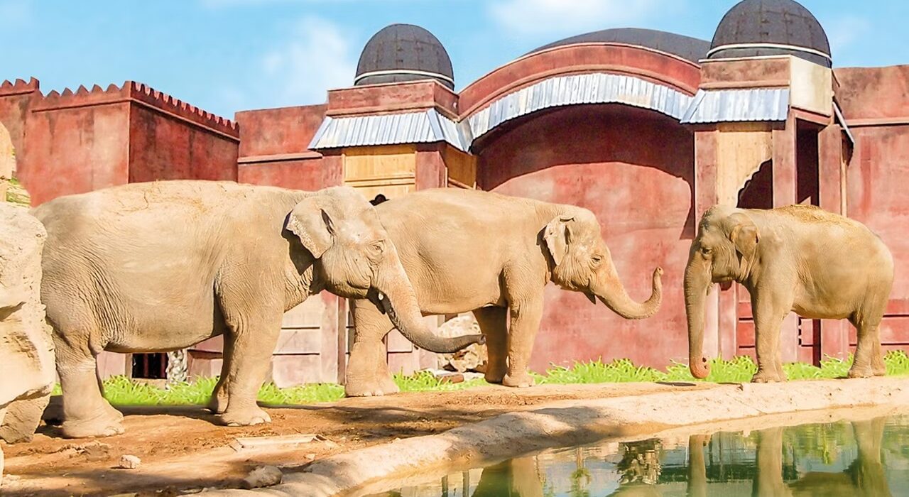 Mid June Family Costa Blanca Super Hols - Image 6