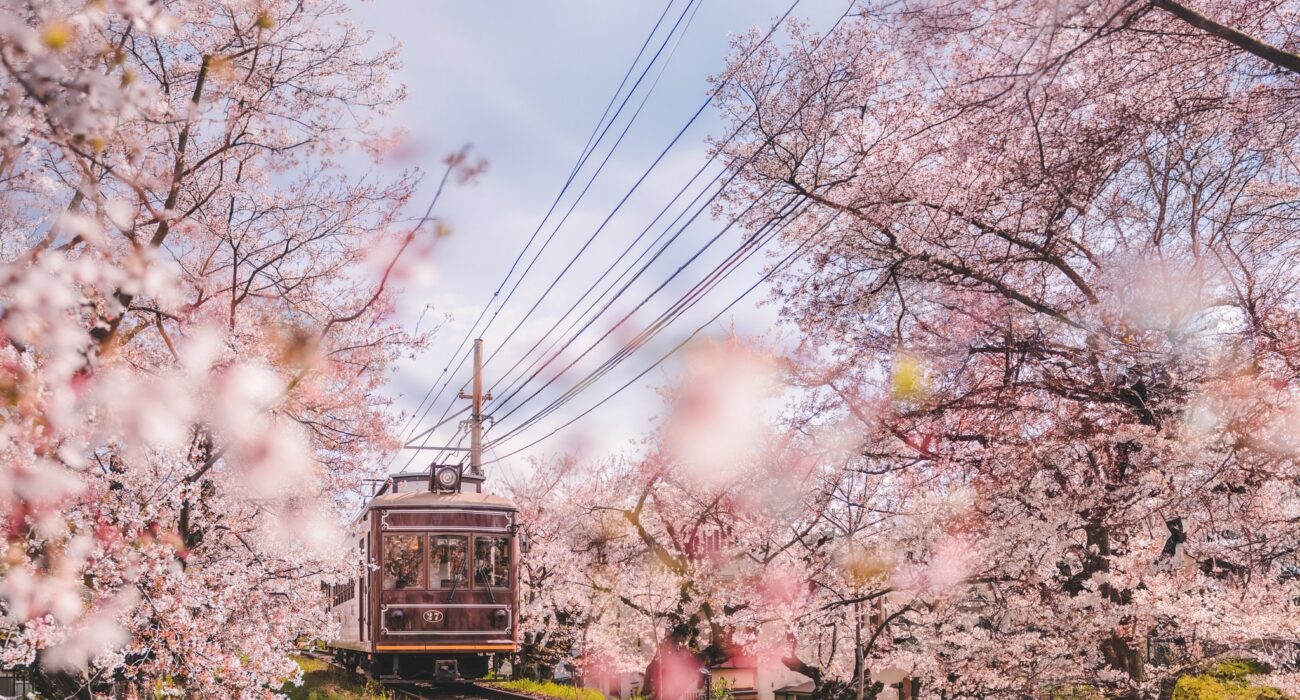 JAPAN MULTI-CENTRE NINJA HOLIDAY - Image 3