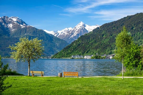 Summer NInja Specials to Austria - Image 1