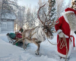 Enchanting Lapland Daytrip …. from Belfast