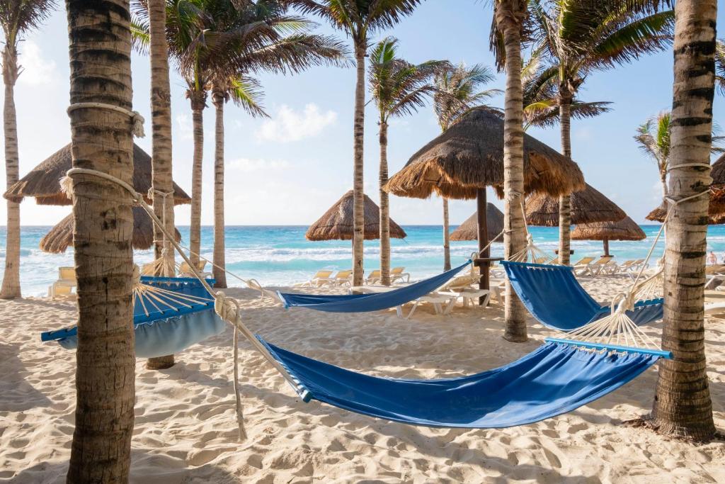 Miami and Cancun Winter NInja Getaway - Image 2