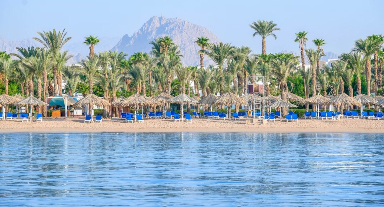 NEW ROUTE Halloween 5* Family Hols Sharm El Sheikh - Image 5