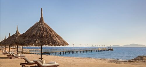 SPEND CHRISTMAS IN EGYPT SUNSHINE