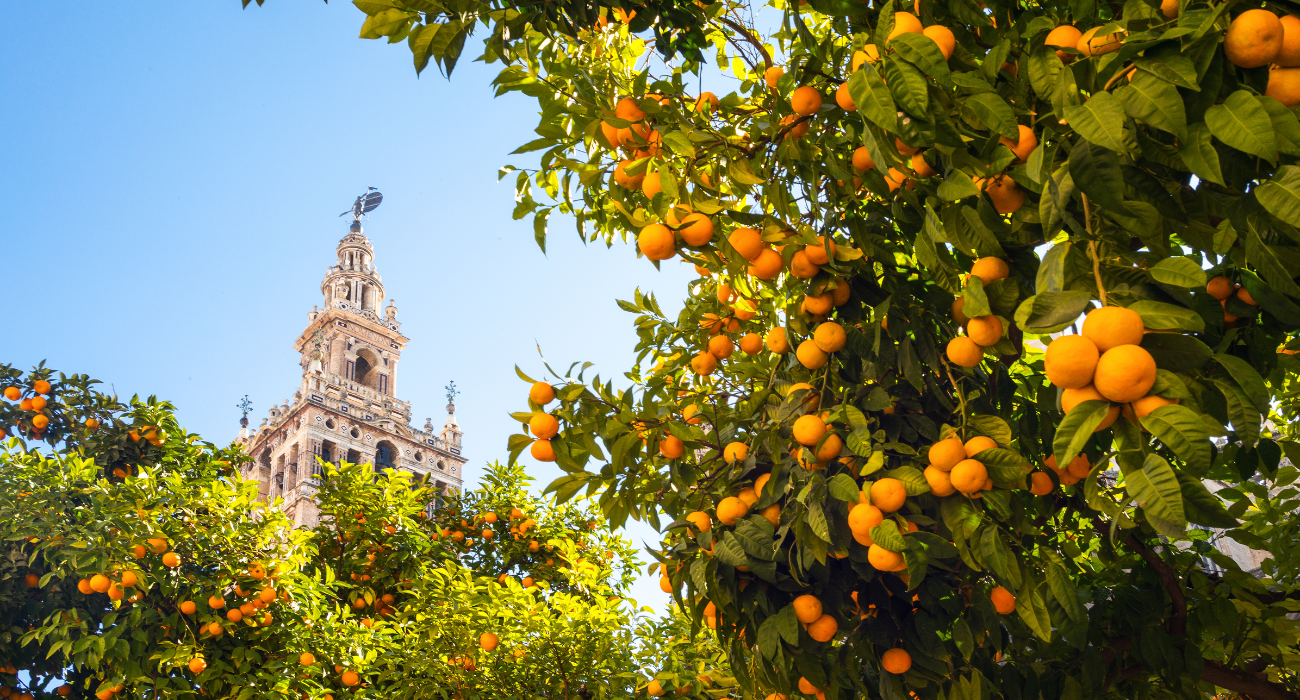 SEVILLE SHORT BREAK – DAY TRIP TO GIBRALTAR INCLUDED - Image 2