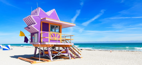 Miami Stay and Bahamas Cruise NInja Special
