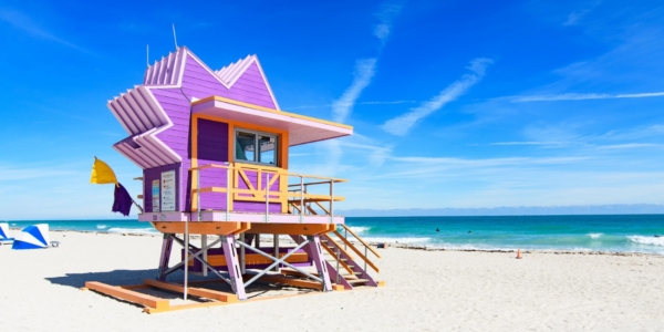 Miami Stay and Bahamas Cruise NInja Special