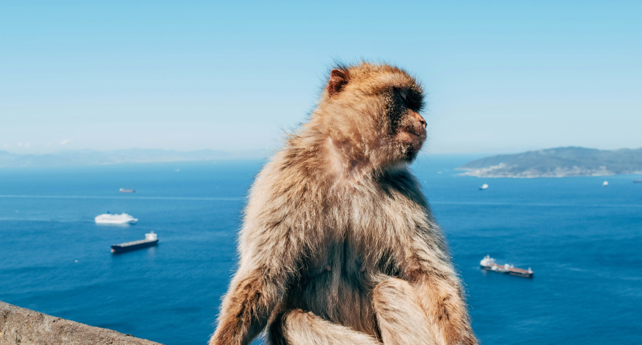 SEVILLE SHORT BREAK – DAY TRIP TO GIBRALTAR INCLUDED - Image 5