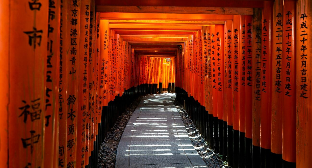 JAPAN SPRING 2027 NINJA MEGA DEAL - Image 2