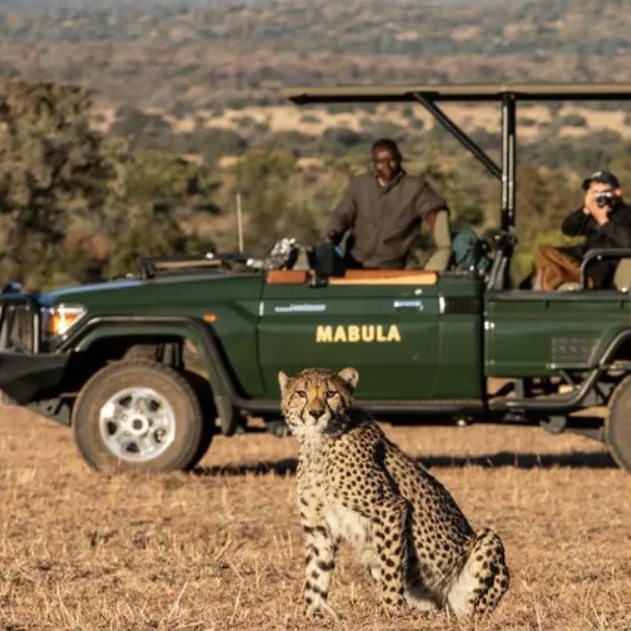 BUCKET LIST On Safari in South Africa - Image 1