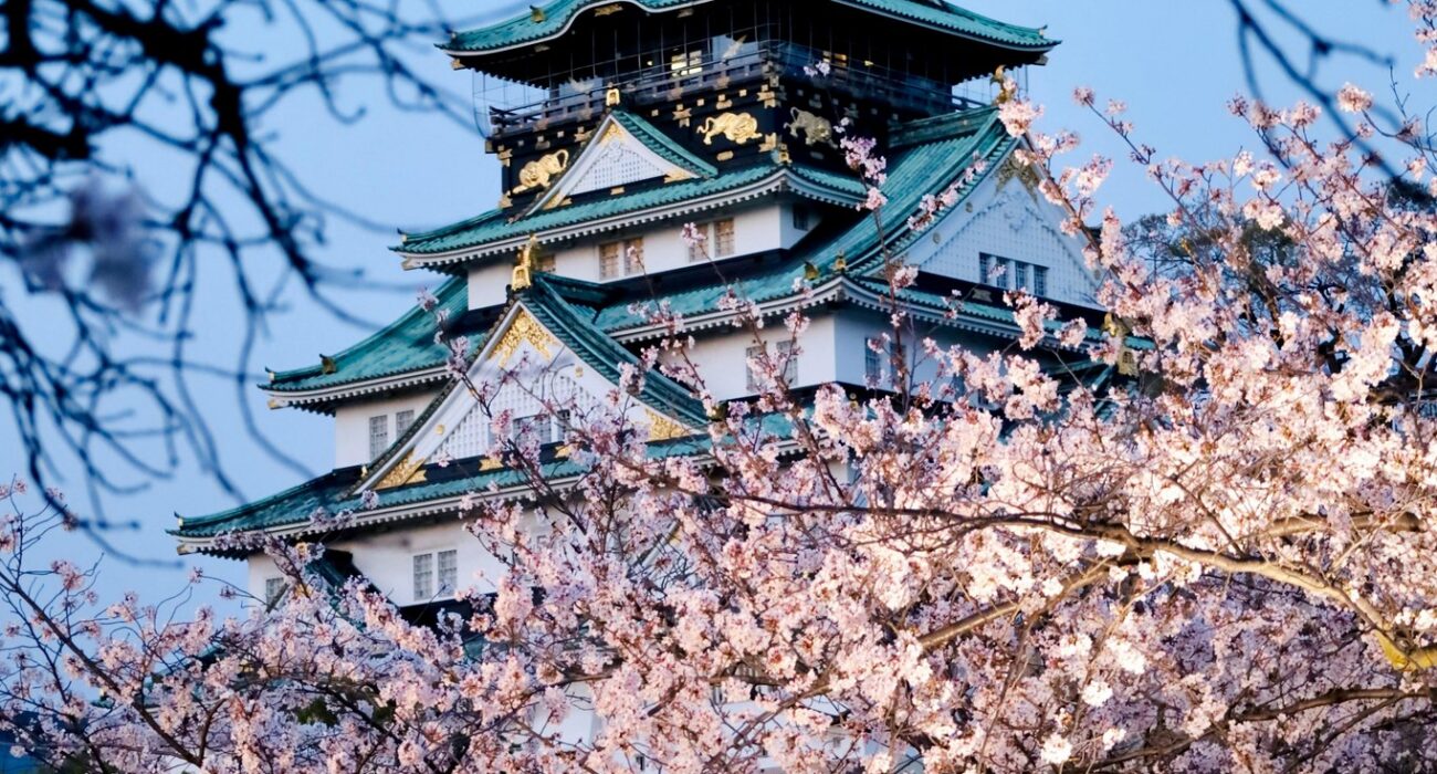 JAPAN SPRING 2027 NINJA MEGA DEAL - Image 4