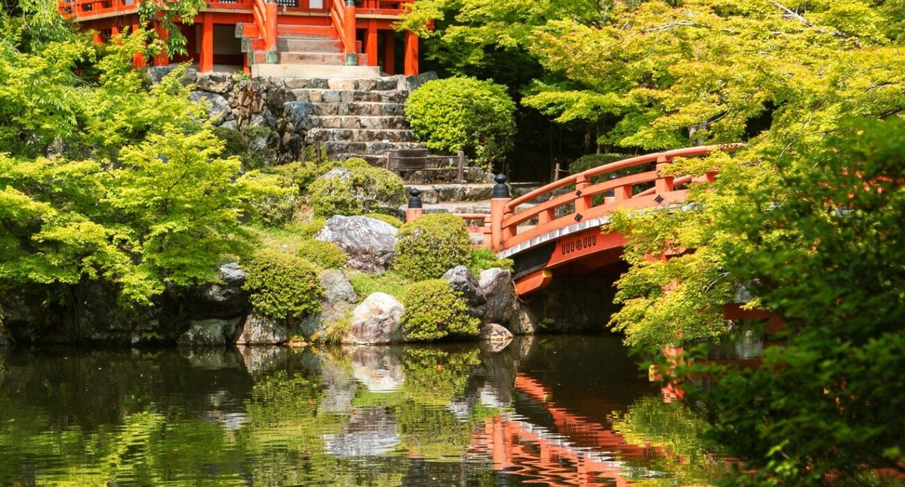 JAPAN & THAILAND MEGA NINJA ADVENTURE - Image 2