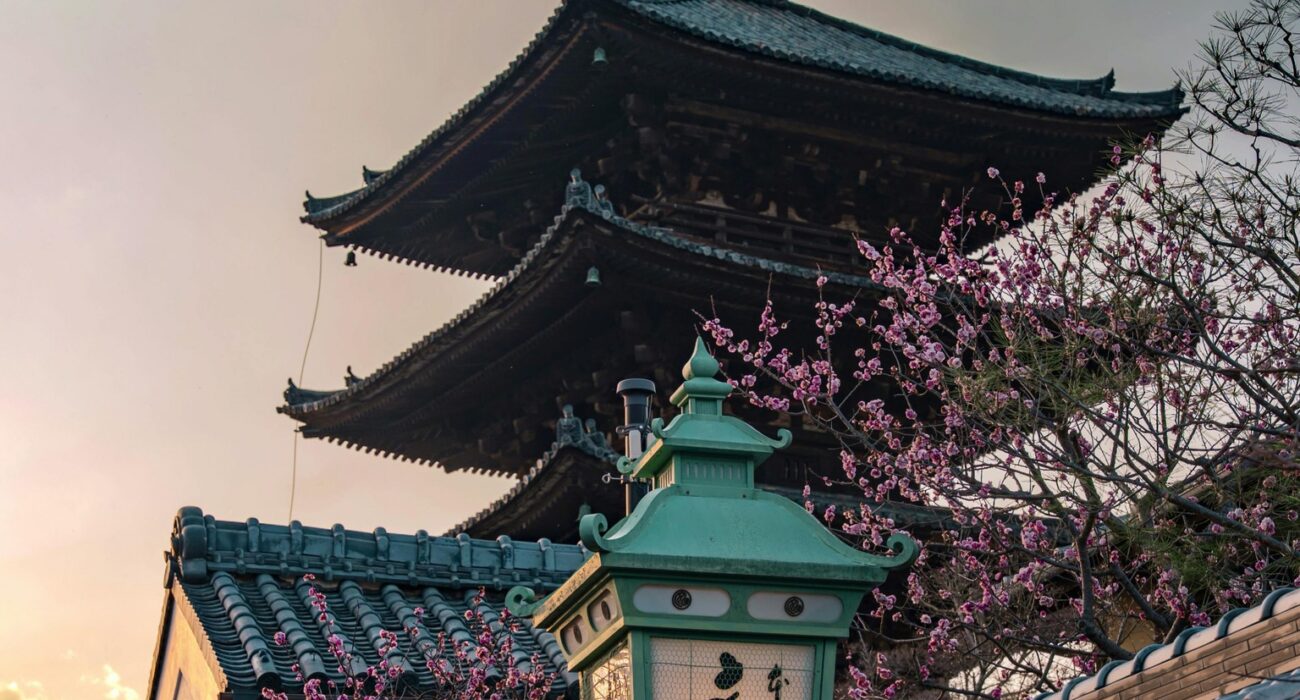 JAPAN SPRING 2027 NINJA MEGA DEAL - Image 10